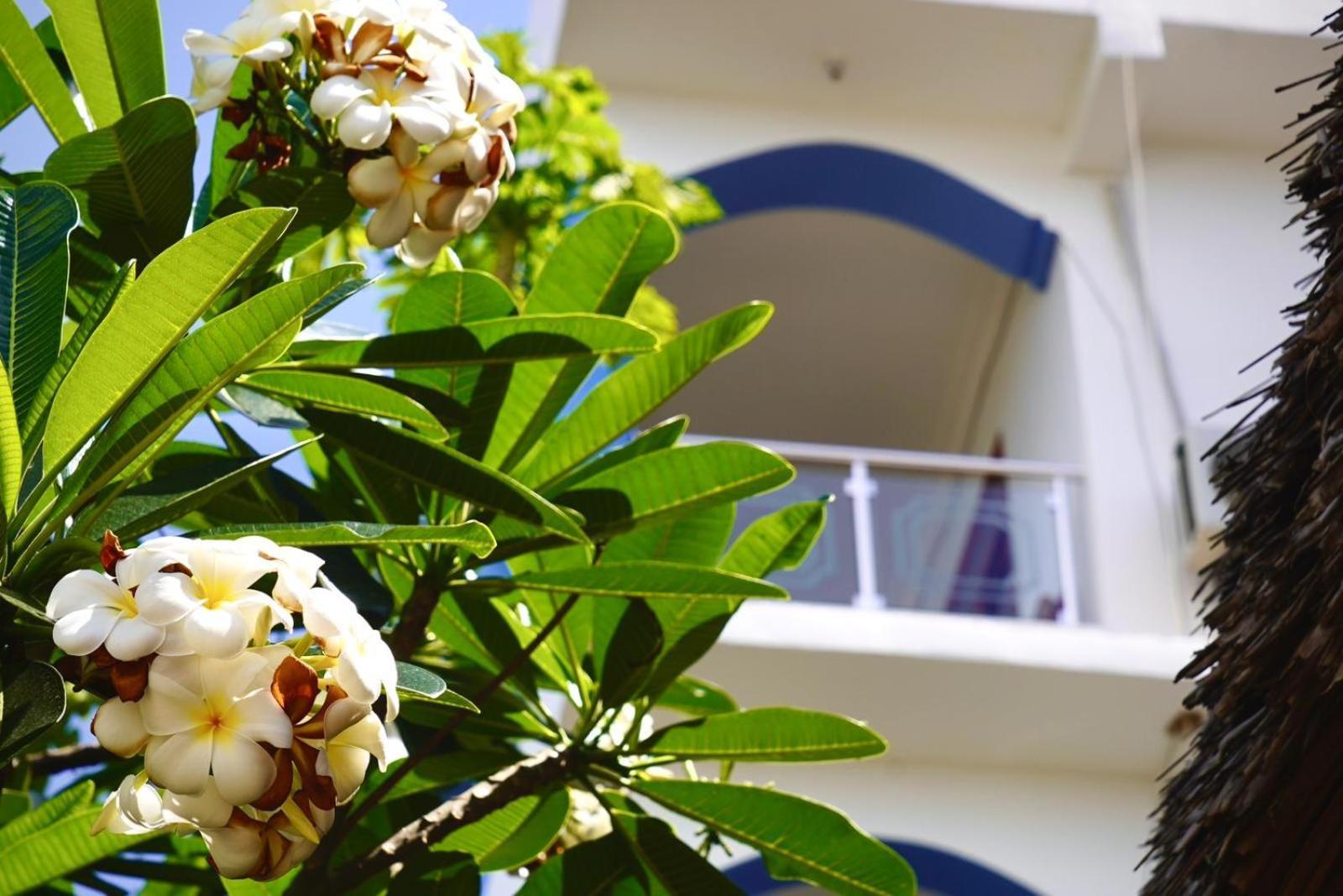 קנדווה Daeli Apartment מראה חיצוני תמונה
